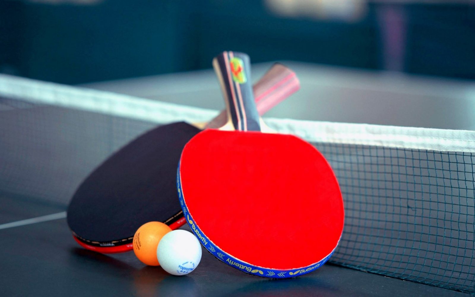 nastolnyy tennis kupit