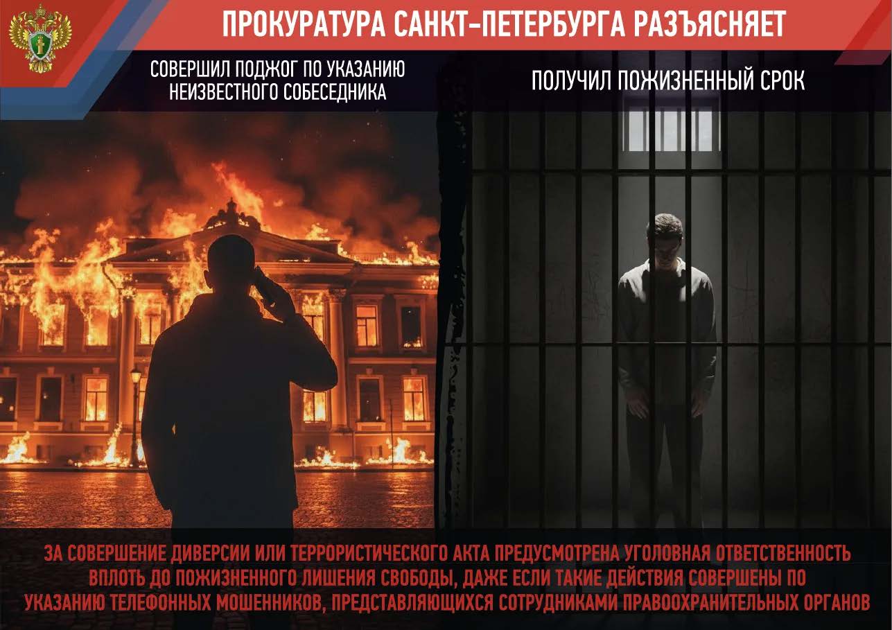 террористы.jpg